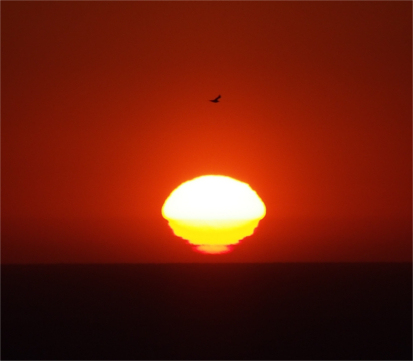 Sunset at Nazaré @Mark Sundquist